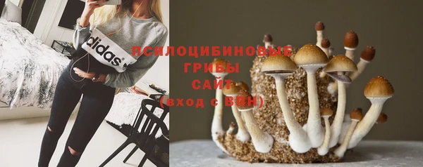 синтетический гашиш Бронницы