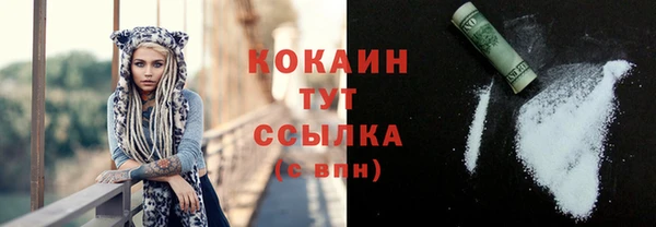 прущий лед Бородино
