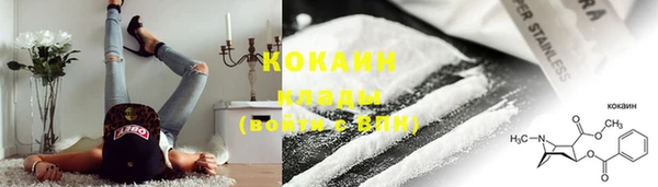 прущий лед Бородино