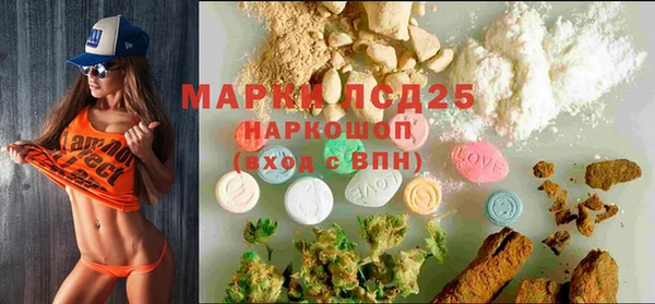 прущий лед Бородино
