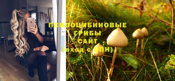 прущий лед Бородино