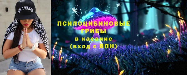 прущий лед Бородино