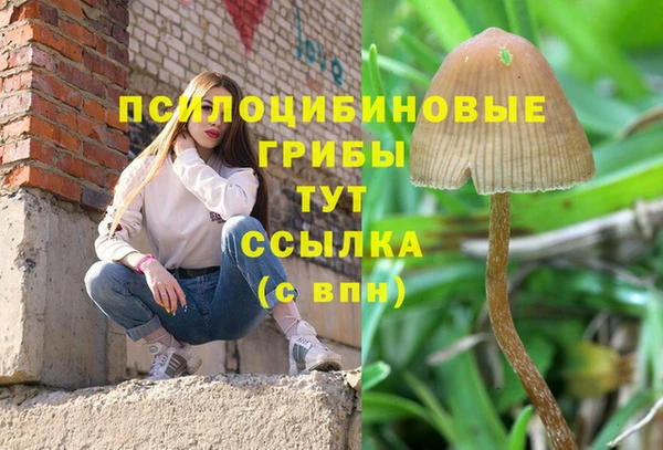 прущий лед Бородино