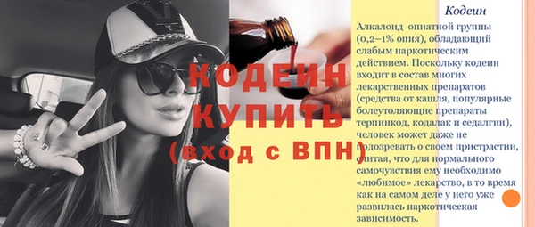прущий лед Бородино
