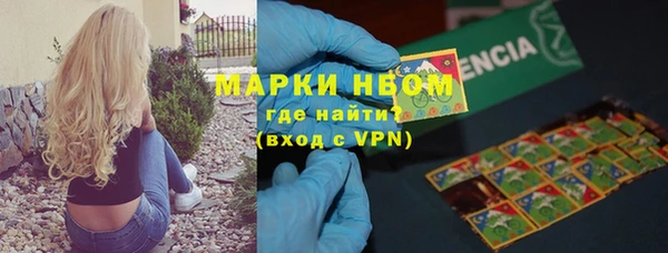прущий лед Бородино