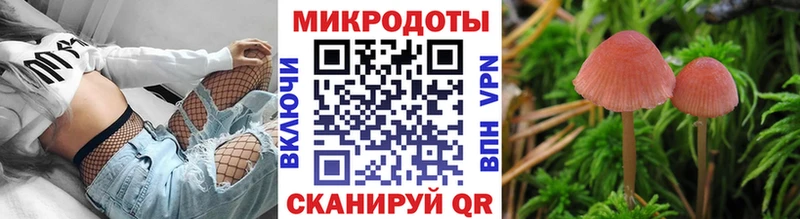 Галлюциногенные грибы Psilocybine cubensis Верещагино